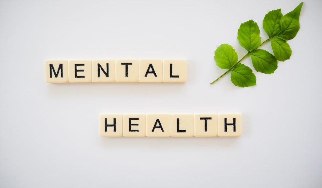 scrabble pieces spell out mental health next to a leafed plant