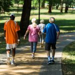 back view of retired multicultural pensioners in sportswear walking in walkway in park