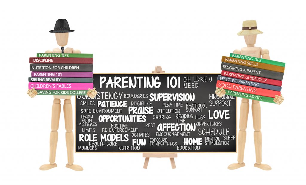 Support services should address the unmet needs of young adult adoptees by offering psychosocial interventions and teaching life skills.