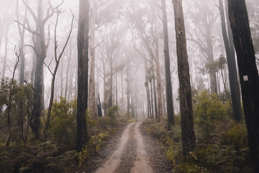 A vivid sense of living with depression emerges from the current paper, depicting the experience of living in a pit or a fog in a world where time has stopped.