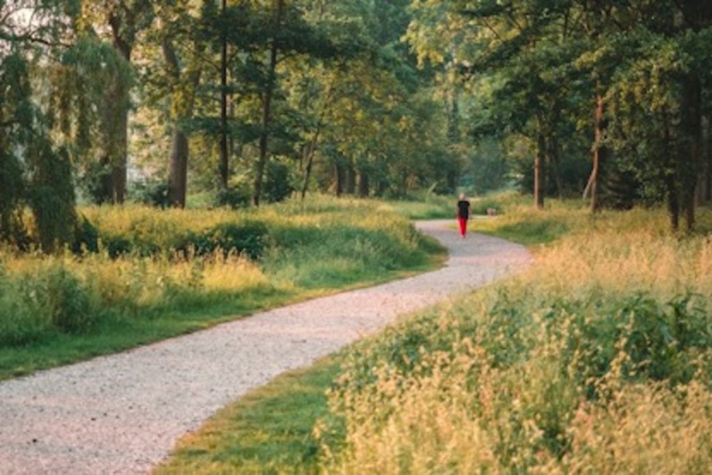 Nature-based therapy can assist in alleviating mental health problems induced by climate change.