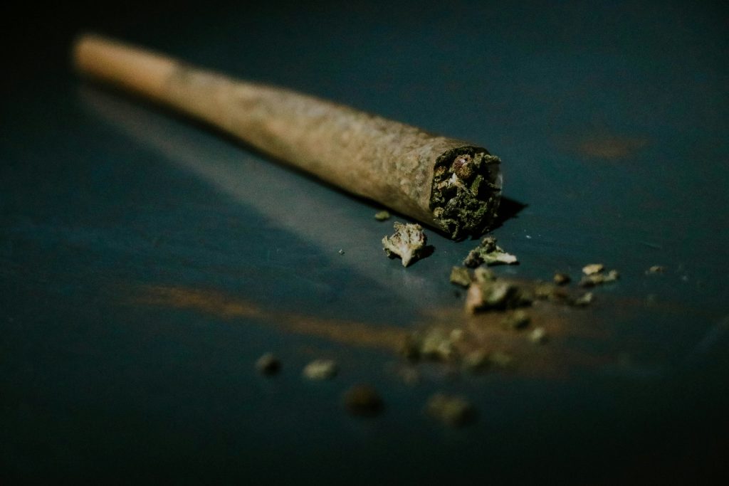 This cross-sectional study compared cognition, personality and mental health in long-term ayahuasca users, cannabis users and non-users, finding that personality traits best distinguished the groups.