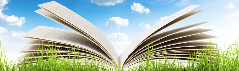 Open book on grass