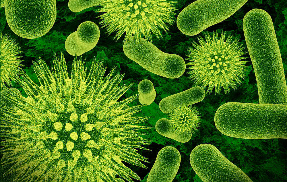 Viruses and bacteria
