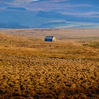 Isolated cabin