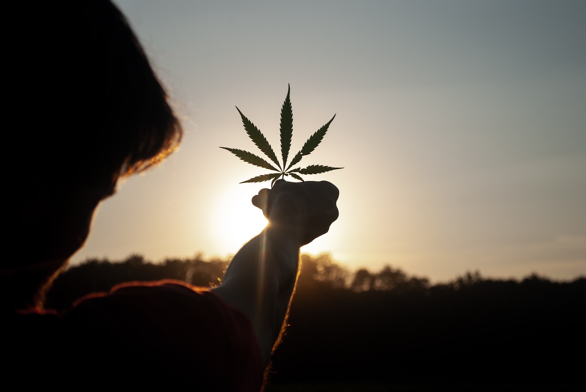 Cannabis is a risk factor for the development of psychosis, but does it explain why some groups experience psychosis more?