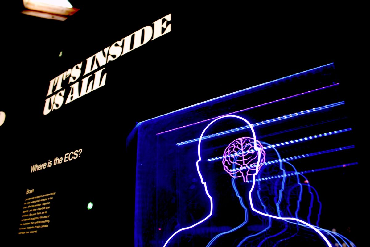 Text reading "It's inside us all" with picture of human body and brain outline in mirrored succession.
