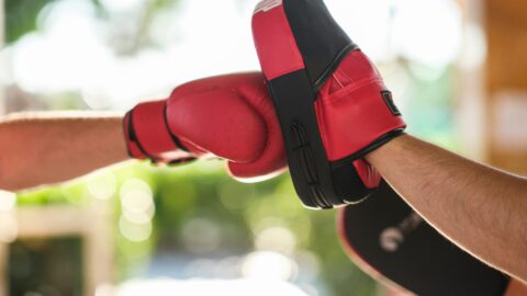 Boxing gloved hand punches a pad